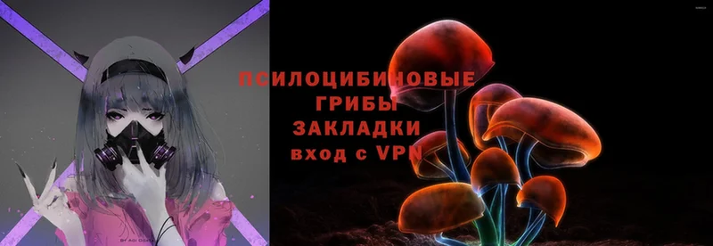 продажа наркотиков  kraken   Галлюциногенные грибы Psilocybe  Анива 